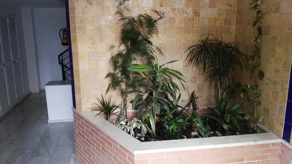 Apartamento Fan Flat Eugenio (Adults Only) Málaga Exterior foto